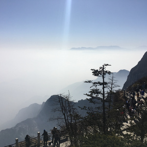 日韩精品三级乱伦
