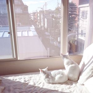 日韩精品三级乱伦
