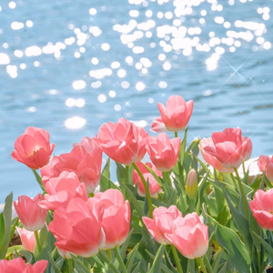 日韩精品三级乱伦
