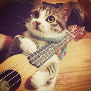 日韩精品三级乱伦
